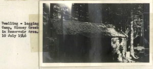 Dwelling--Logging Camp, Kinney Creek in Reservoir Area