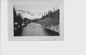 Looking Up Breitenbush River