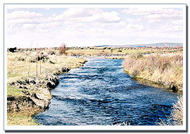 Fort Hall Bottoms, Idaho