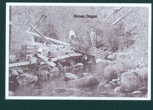 Hoover Debris
