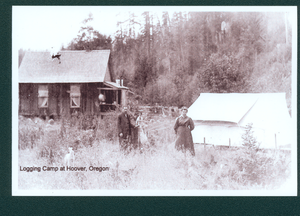 Hoover Loggers