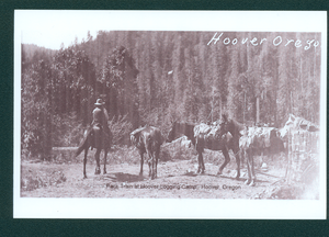 Hoover Pack Train