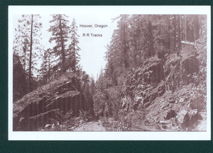 Hoover Railroad Tracks