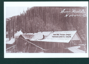 Hoover Saw Mill