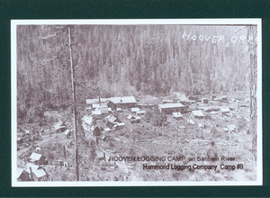 Hoover Logging Camp #9