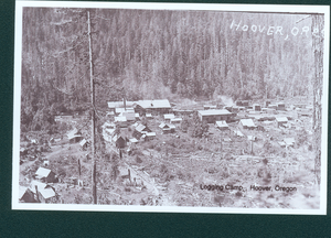 Hoover Logging Camp