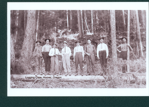 Hoover Logging Crew