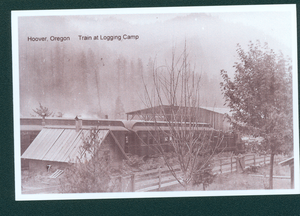 Train at Hoover Logging Camp