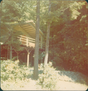 Peils Cabin Exterior with Surroundings