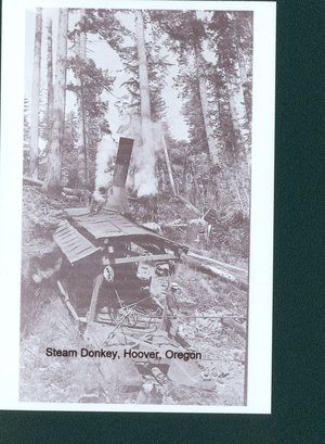 Hoover Steam Donkey on Land