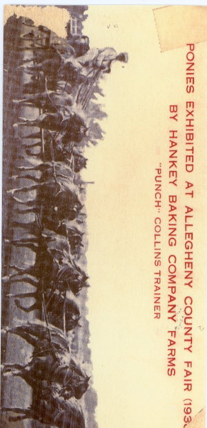 Punch Collins Postcard