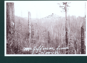 View of Mt. Jefferson from Hoover