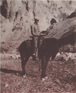 Man on horse in canyon, Owyhee area