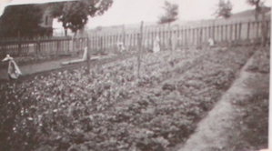 Buccala Garden