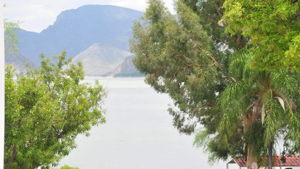 Viejo Graseros, Mexico