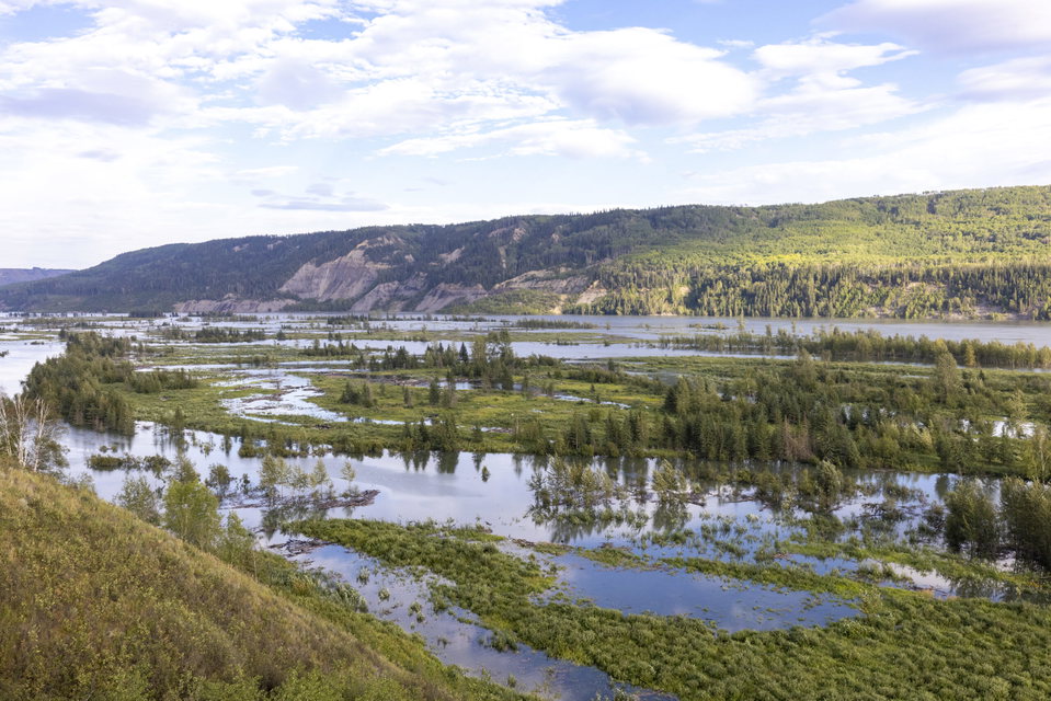 Displaced by John Horgan Dam