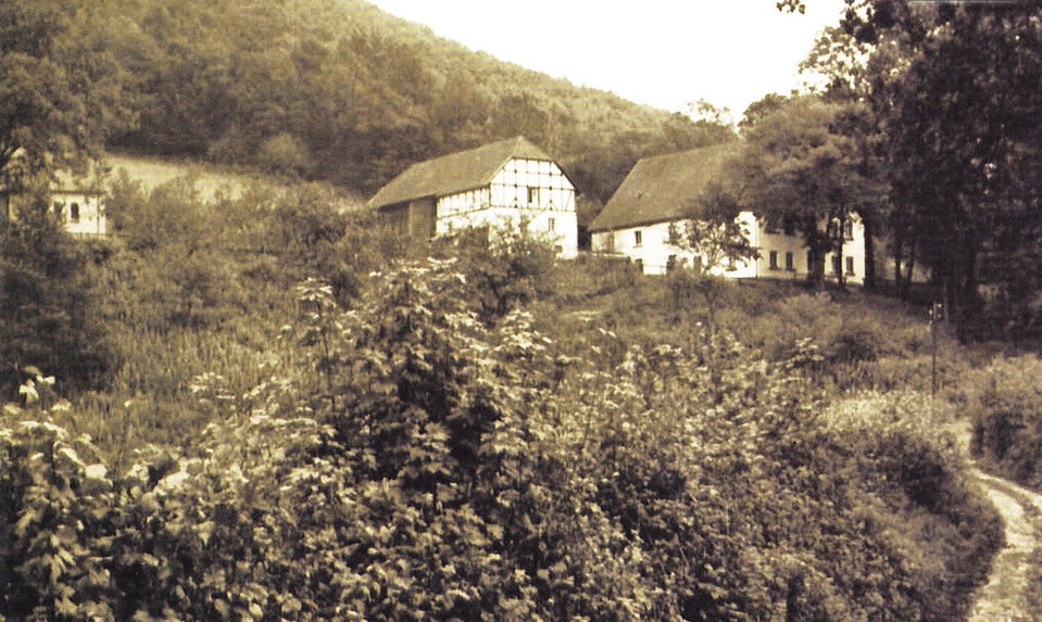 Ackerschott, Germany