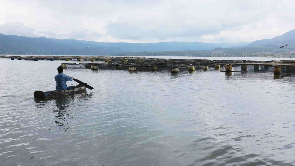 Displaced By Koto Panjang Dam